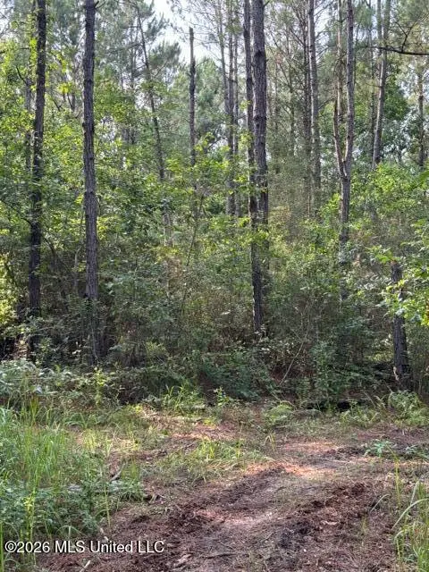 Clark Ln., Gulfport, MS 39503 - #3