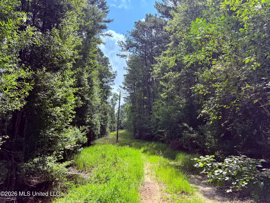 40ac 31092 Ms-63, Leakesville, MS 39451 - #2