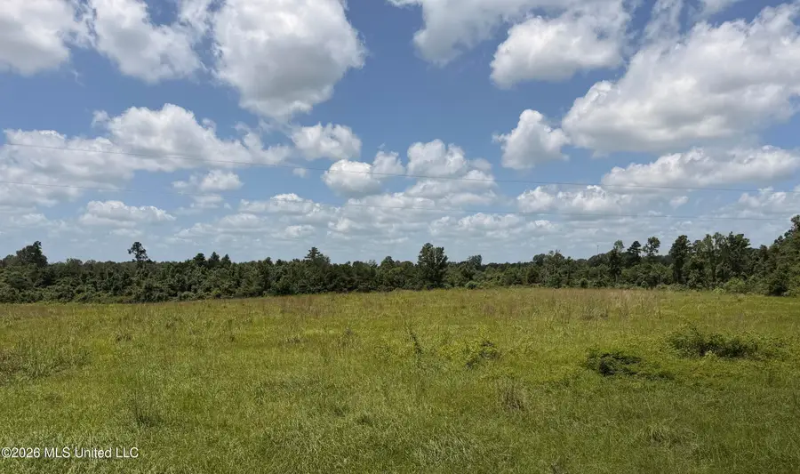 Progress School Road Road, McComb, MS 39648 - #2