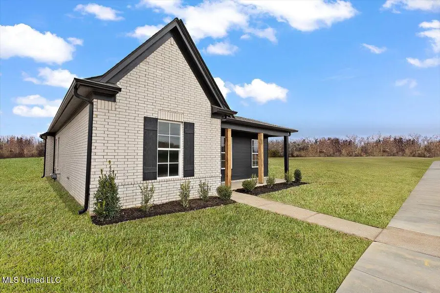 445 Sunflower Street, Nesbit, MS 38651 - #2