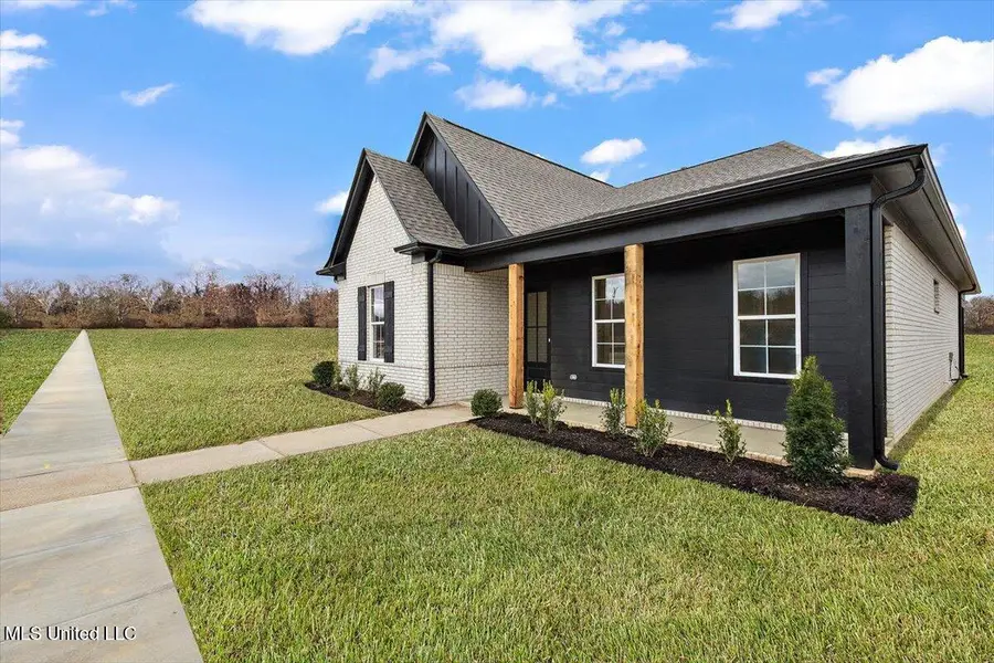 445 Sunflower Street, Nesbit, MS 38651 - #3