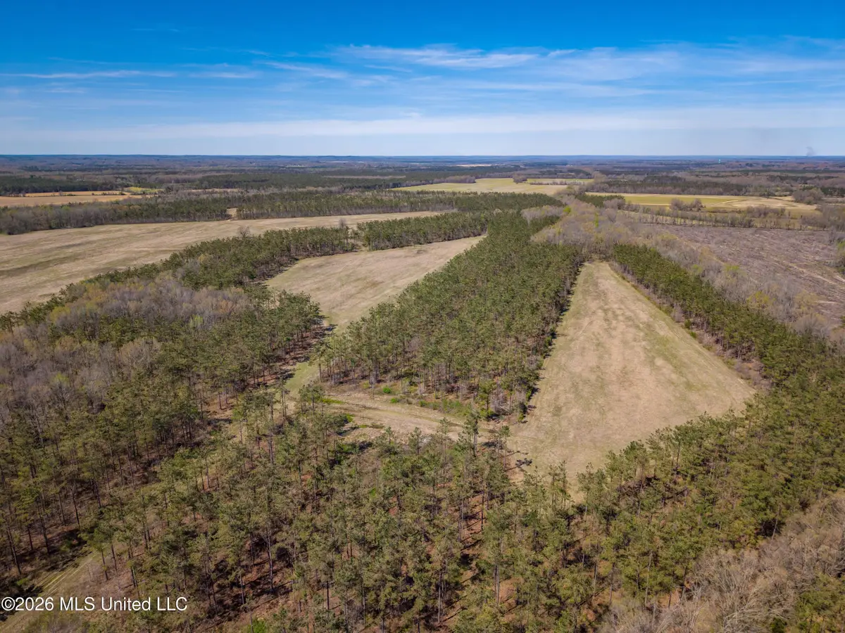 Wise Bend Road, Thaxton, MS 38871 - #1