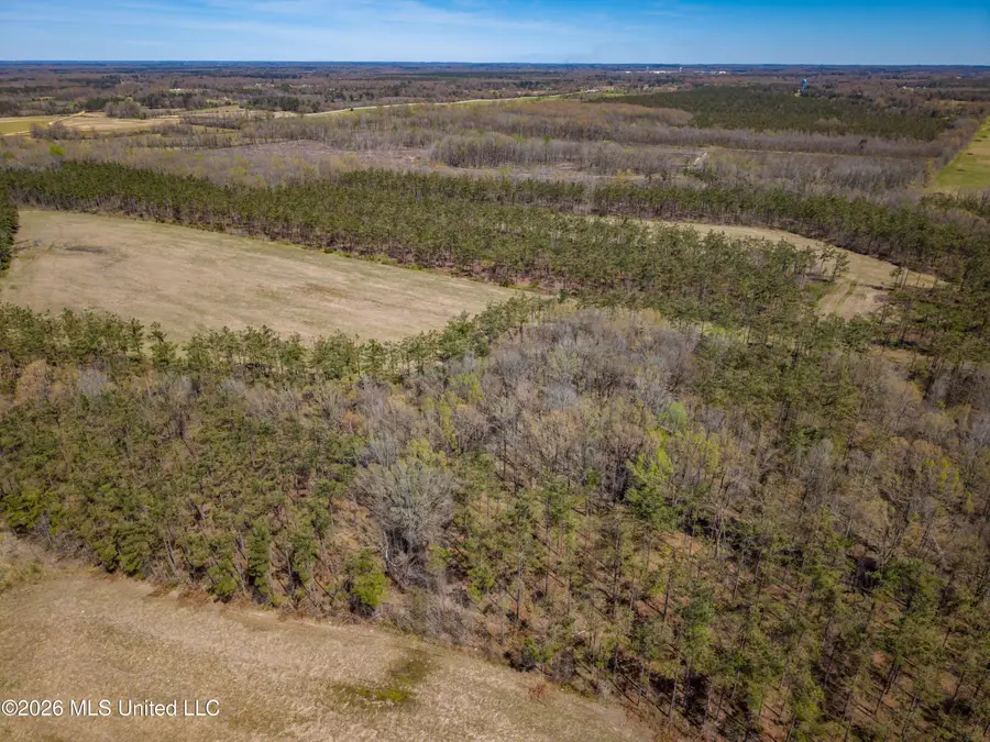 Wise Bend Road, Thaxton, MS 38871 - #2