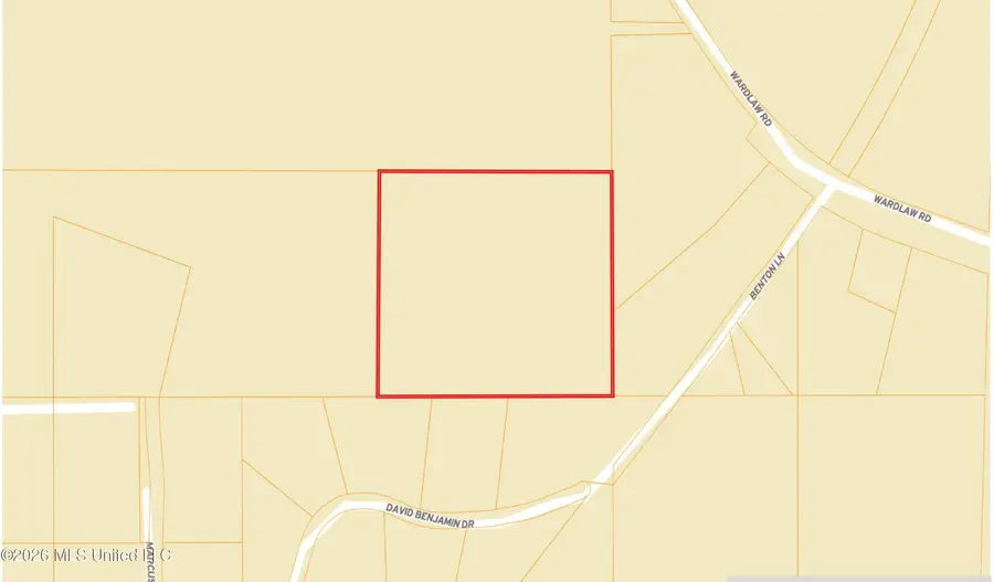 W David Benjamin Drive, McComb, MS 39648 - #2