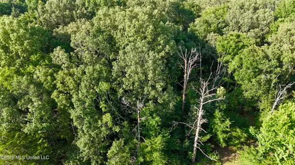 Mcdonald Road, Madison, MS 39110