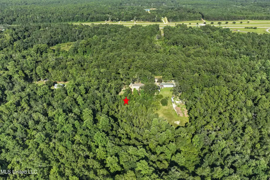 25481 Old Highway 49, Saucier, MS 39574 - #3