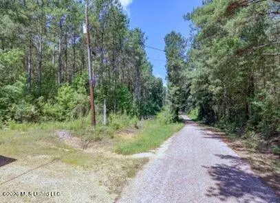 Nell Lambert Road, Jayess, MS 39641 - #2