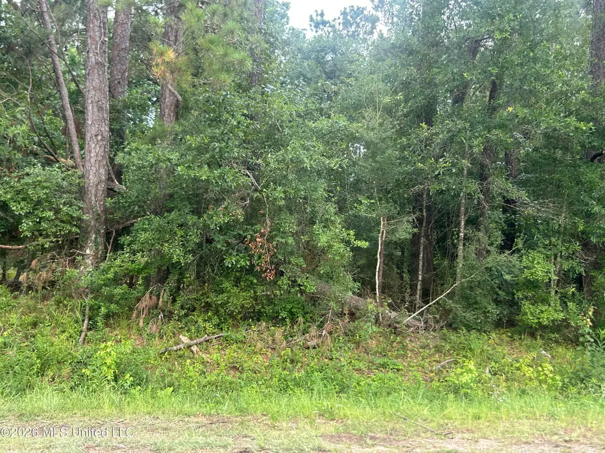Tbd River Ridge Road, Summit, MS 39666 - #1
