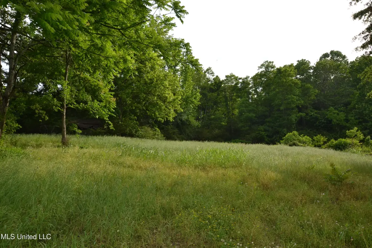 443 Highway 305 N, Olive Branch, MS 38654 - #1