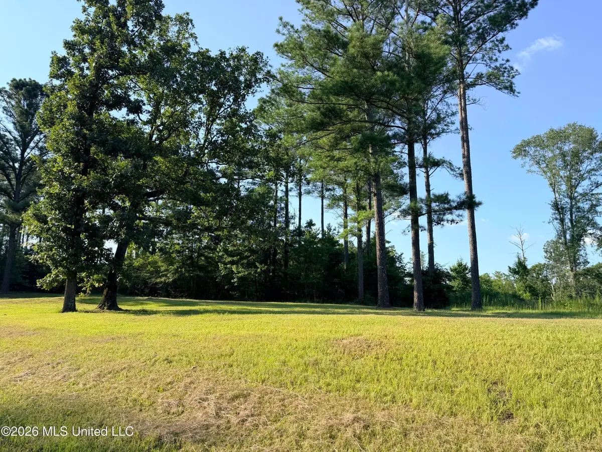 Lake Springwater Drive, Brandon, MS 39042 - #1