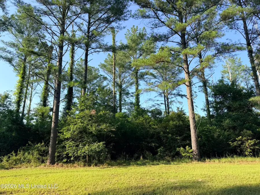 Lake Springwater Drive, Brandon, MS 39042 - #2