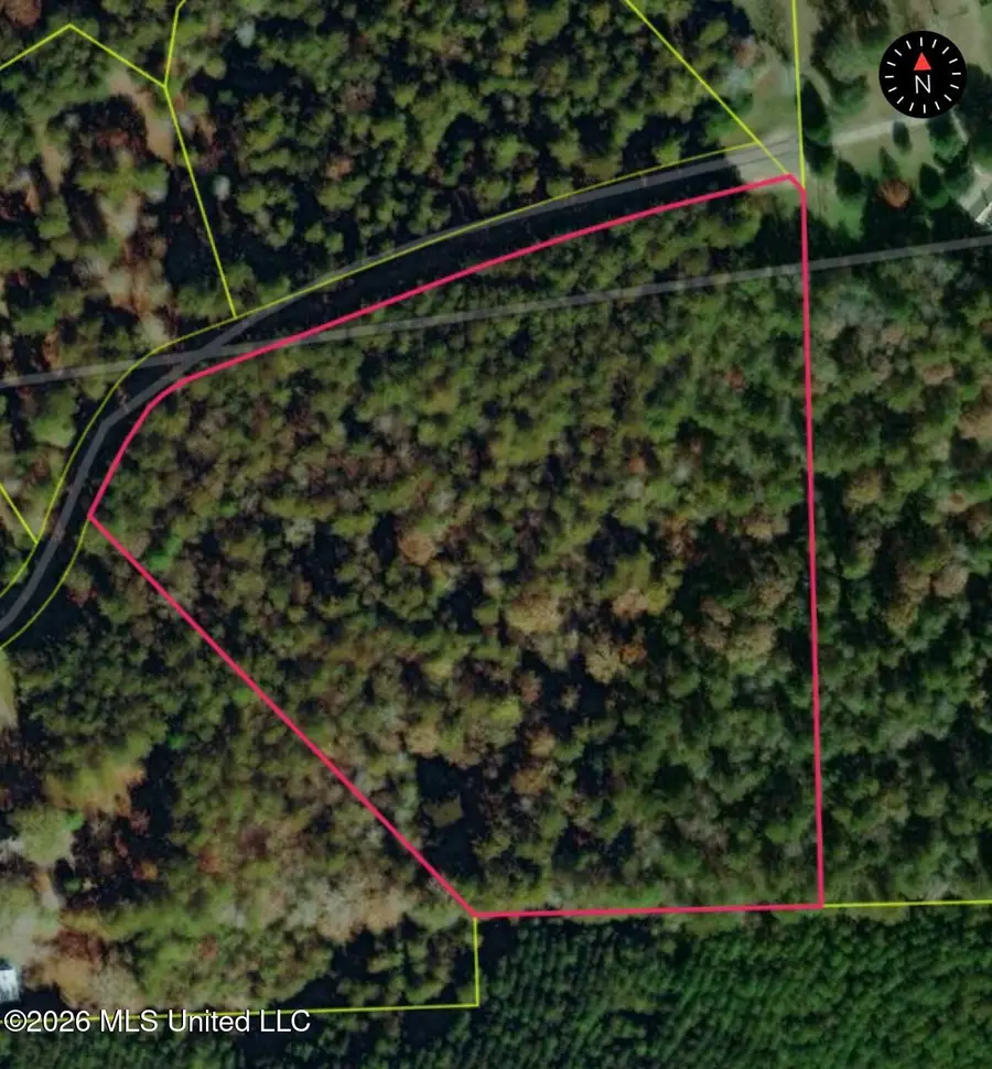 Shelton Cedar Road, Moselle, MS 39459 - #2