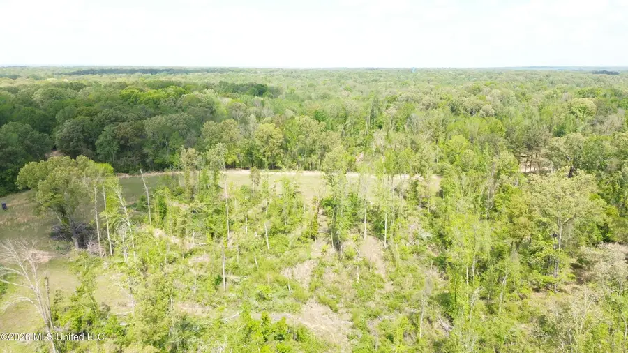 Stevens Rd, Yazoo City, MS 39194 - #2