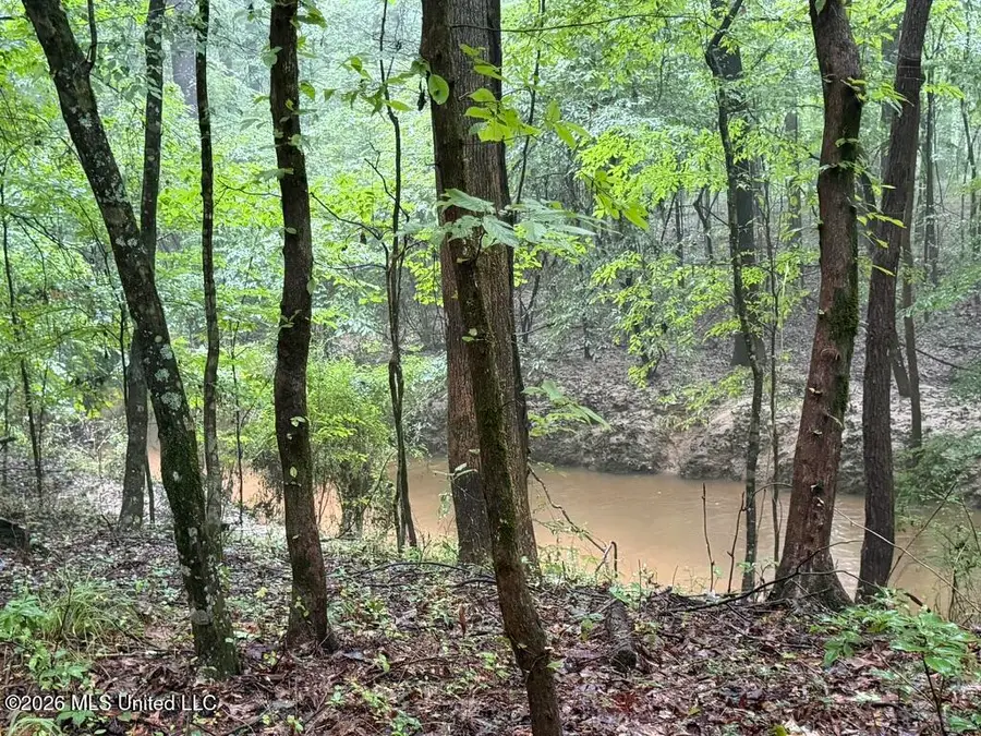 Meredith Road, Collinsville, MS 39325 - #3