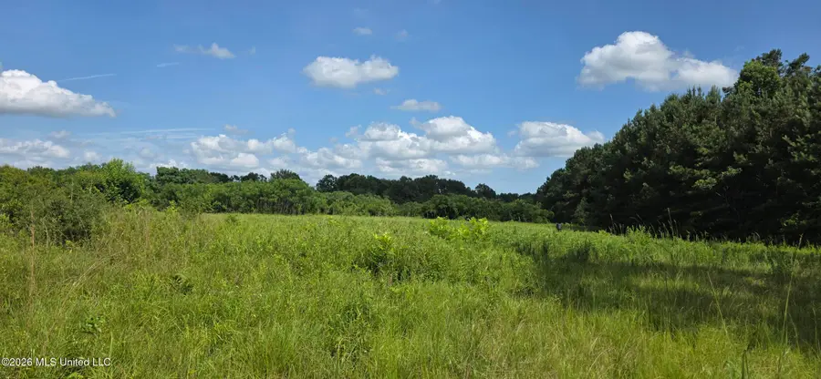 2046 Barto Leggett Road, McComb, MS 39648 - #2