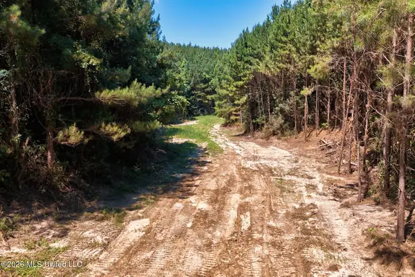 NW Ben Briggs Road, Roxie, MS 39661