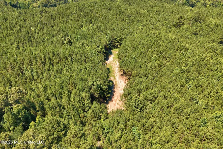 NW Ben Briggs Road, Roxie, MS 39661 - #2