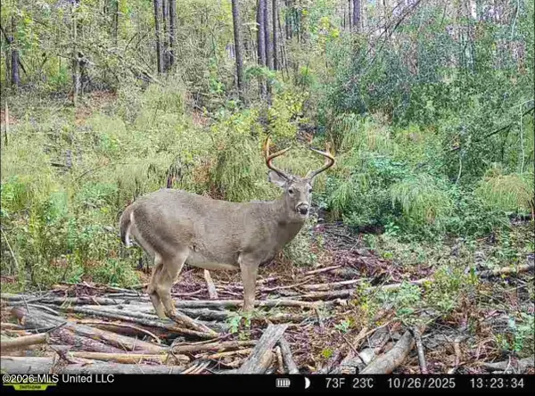 NW Union Road, Brookhaven, MS 39601