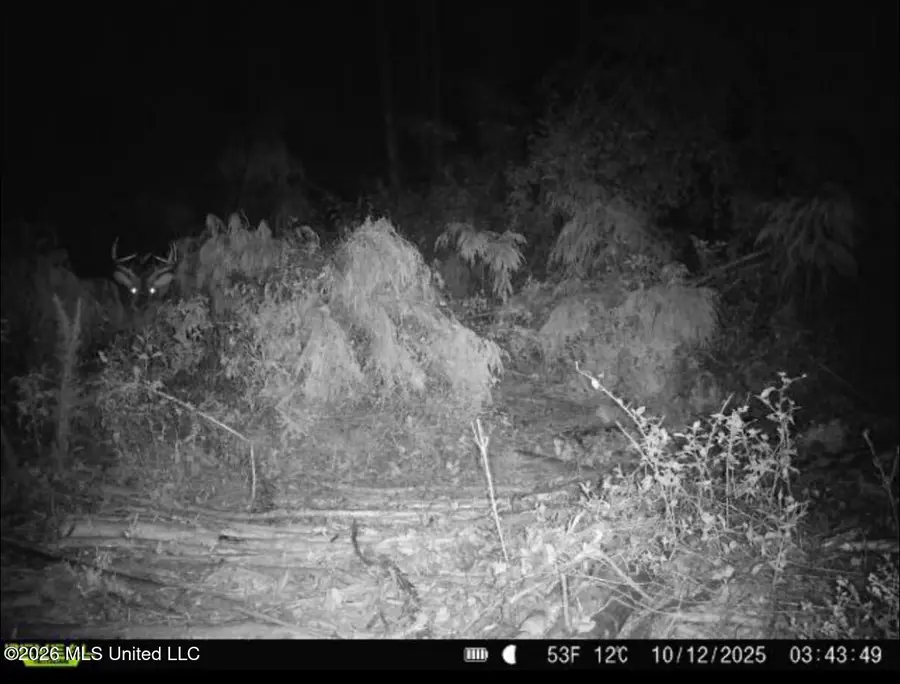 NW Union Road, Brookhaven, MS 39601 - #3