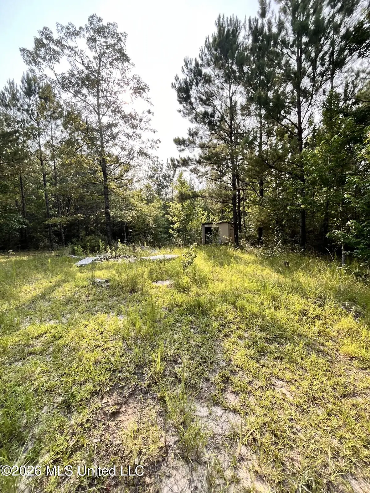 27 Roy Road, Lumberton, MS 39455 - #1
