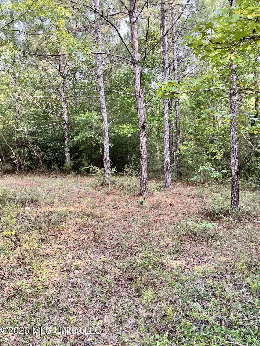 27 Roy Road, Lumberton, MS 39455 - #3