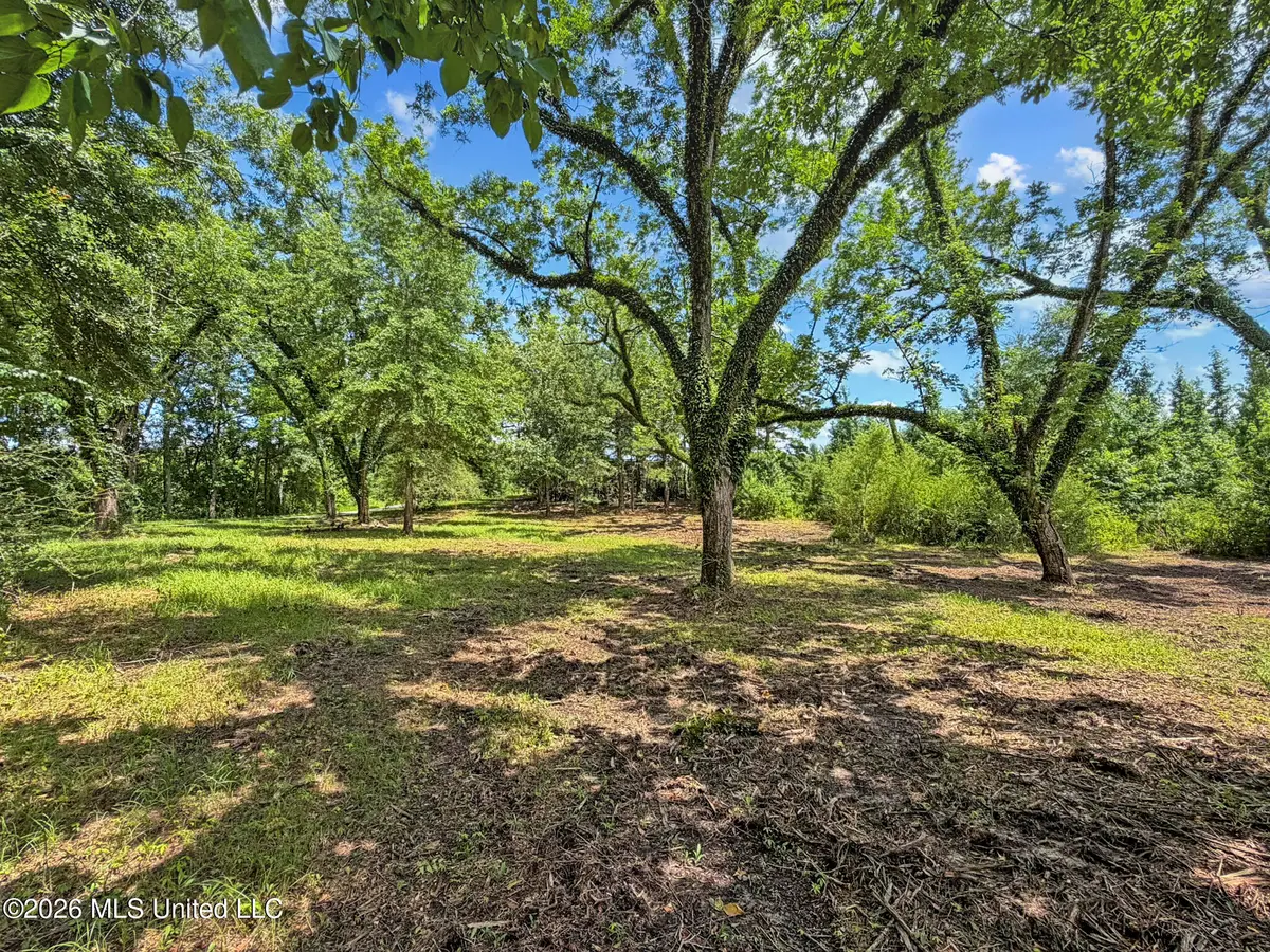 Co Rd 13, Louin, MS 39338 - #1