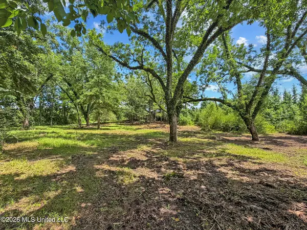 Co Rd 13, Louin, MS 39338