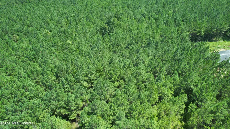 County Rd 2127, McCool, MS 39108 - #3