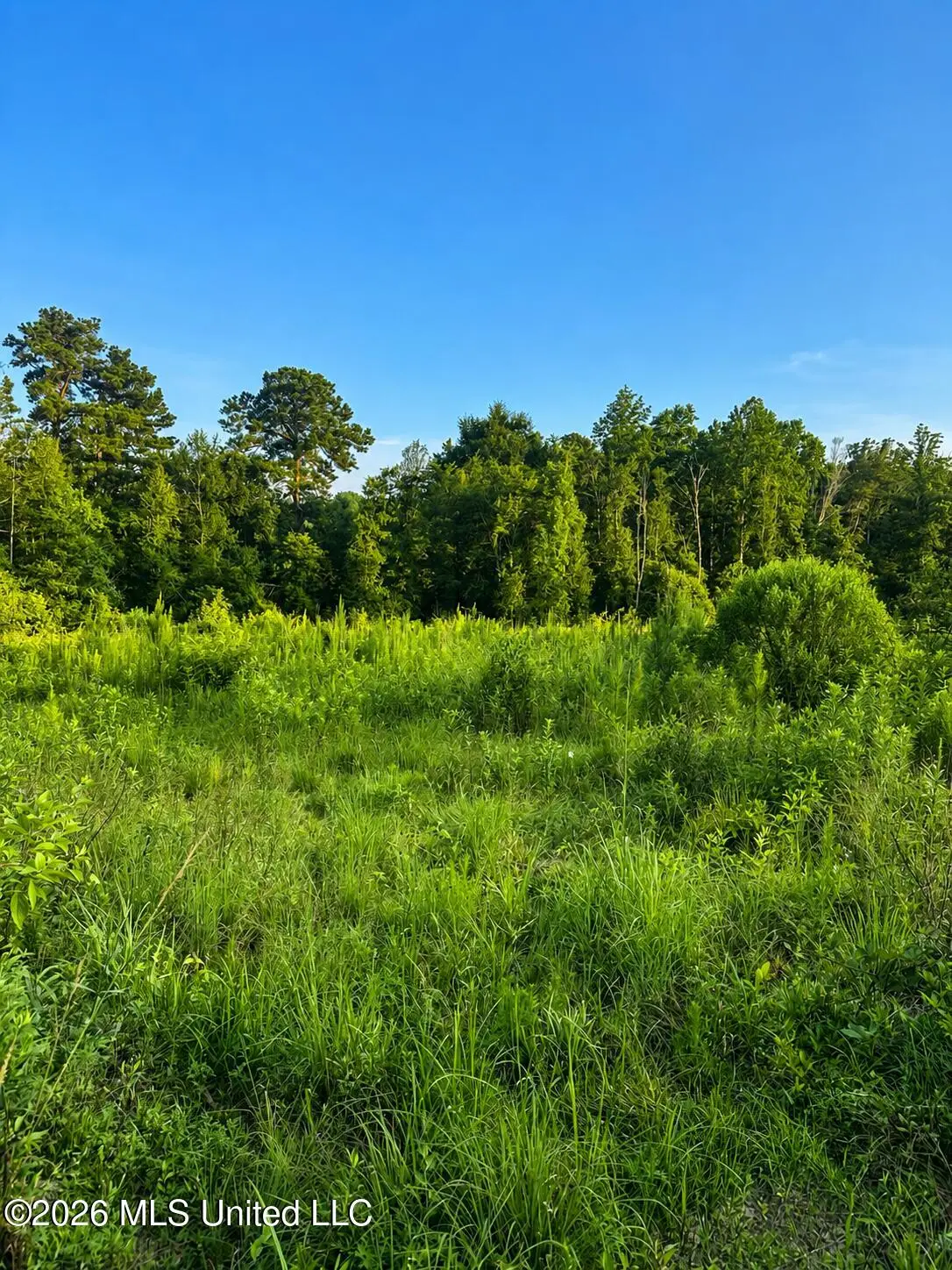 S C Road 77, Raleigh, MS 39153 - #1