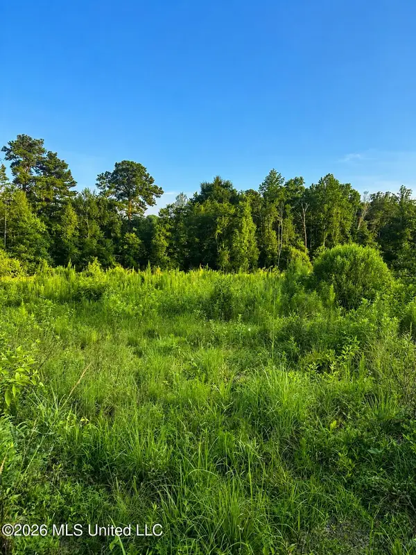 S C Road 77, Raleigh, MS 39153