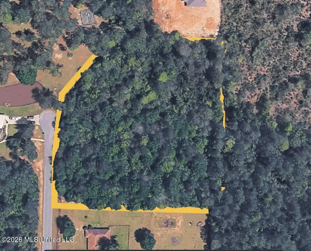 Meadowood Drive, Picayune, MS 39466 - #1