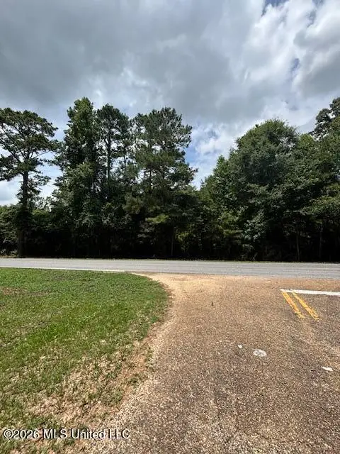 193 W Ms-48, Tylertown, MS 39667 - #1