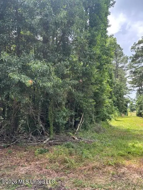 L W Johnson Road, Tylertown, MS 39667