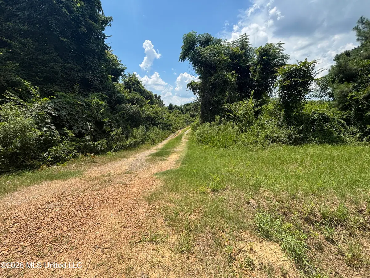 Firetower Road, Camden, MS 39045 - #1