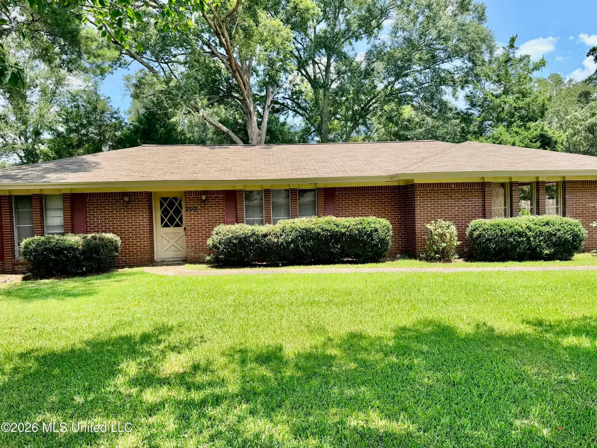 209 Swor Street, Taylorsville, MS 39168 - #1