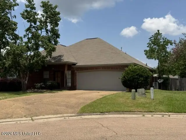 401 Ivy Court, Pearl, MS 39208 - #3