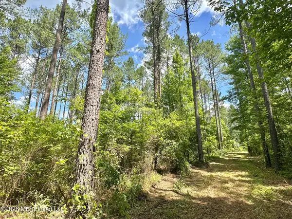Hwy 43 Highway, Kosciusko, MS 39090