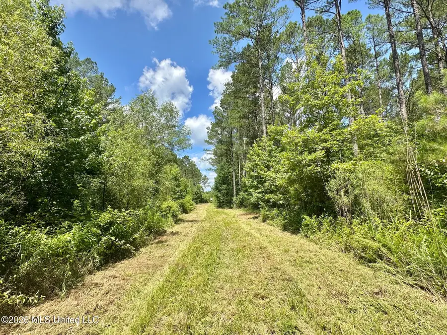 Hwy 43 Highway, Kosciusko, MS 39090 - #2