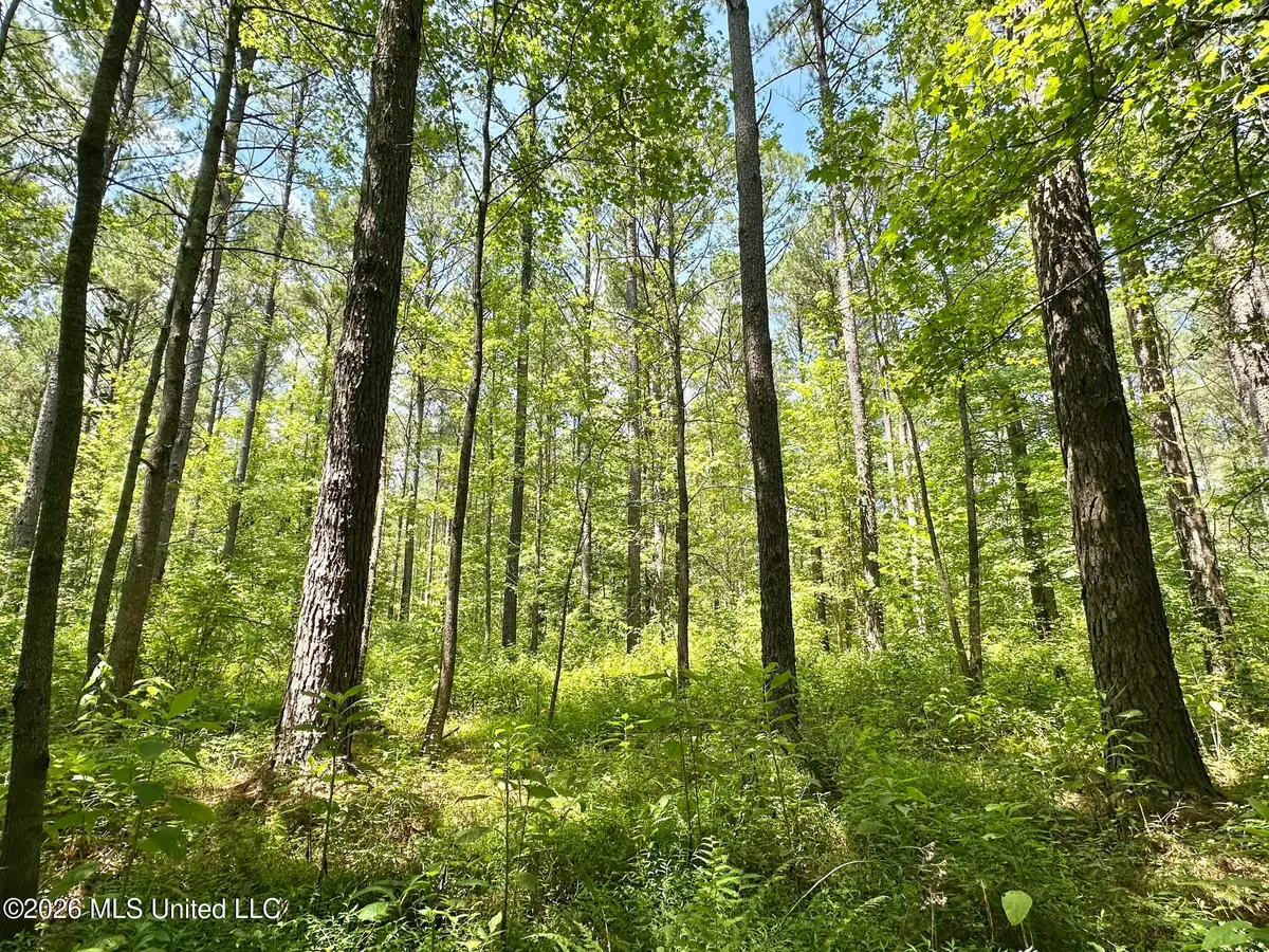 Hwy 43 Highway, Kosciusko, MS 39090 - #1