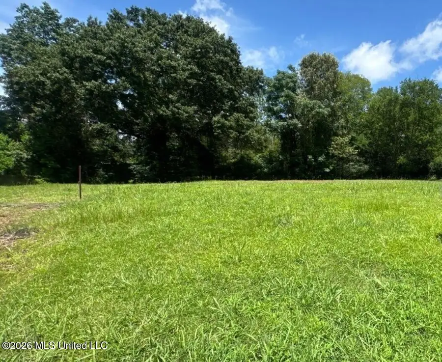373 Red Eagle Circle, Ridgeland, MS 39157 - #3