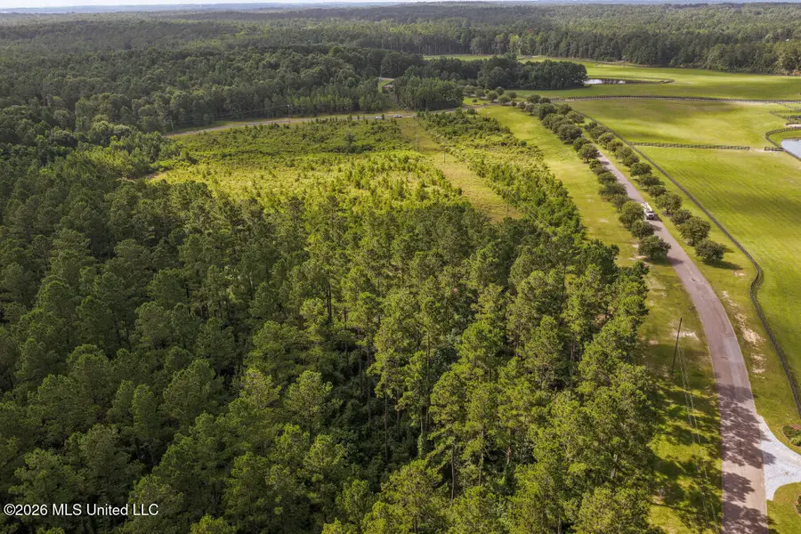 Walden Way, Hattiesburg, MS 39402 - #2