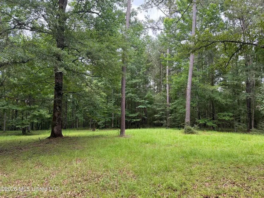 112 Lake Louise Drive, Florence, MS 39073 - #3