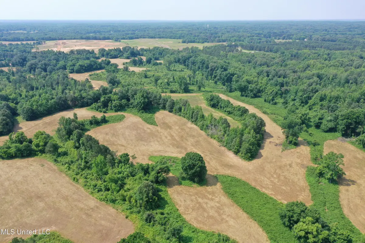 0 Baldwin Road, Lake Cormorant, MS 38641 - #1