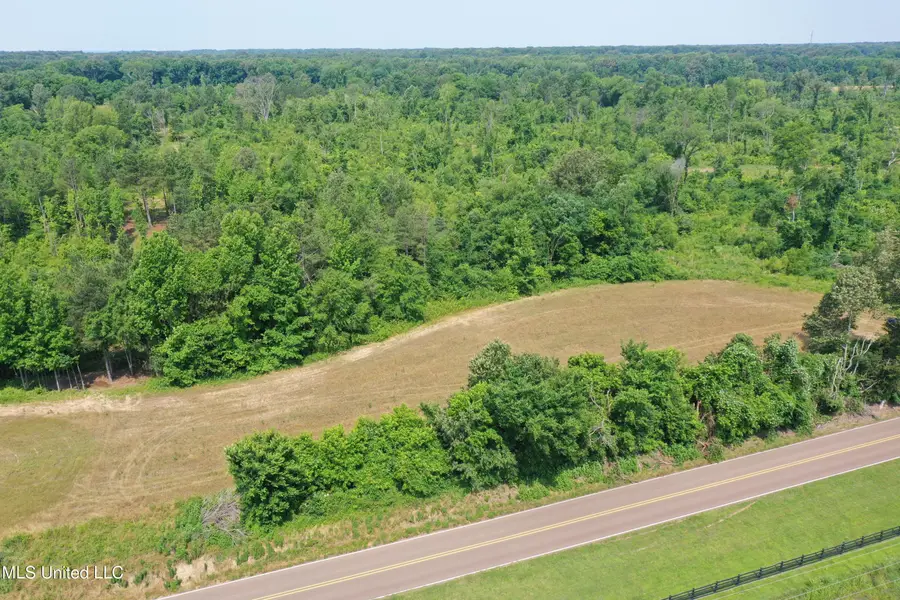 0 Baldwin Road, Lake Cormorant, MS 38641 - #3