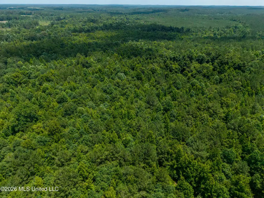 N Jones Lane, Carthage, MS 39051 - #2