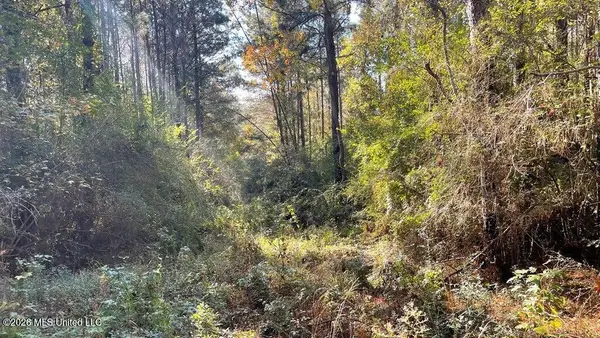 Delaware Avenue, McComb, MS 39648