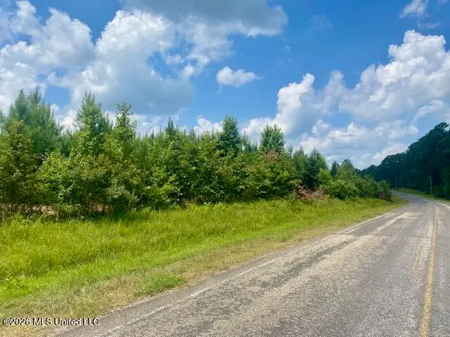 County Line Road, Summit, MS 39666 - #1