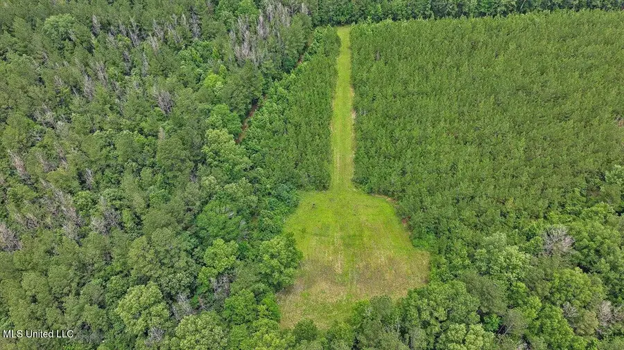 772 Mount Helm Road, Brandon, MS 39047 - #2