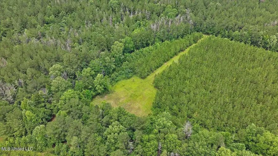 772 Mount Helm Road, Brandon, MS 39047 - #3