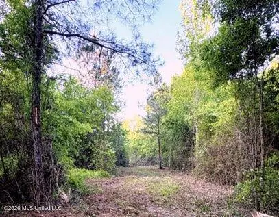 0 Darron Hodge Lane, Poplarville, MS 39470 - #1